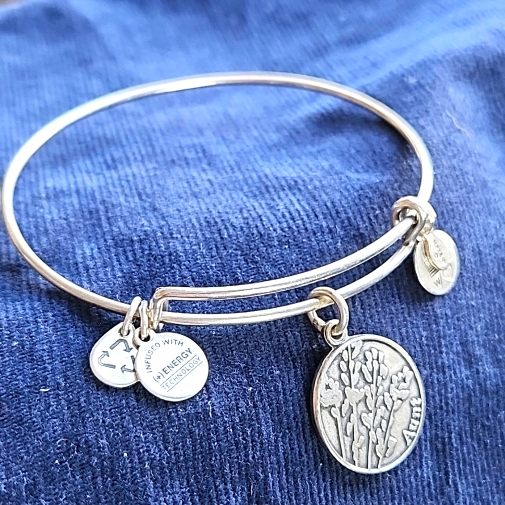 Alex and Ani Bangle - Silver